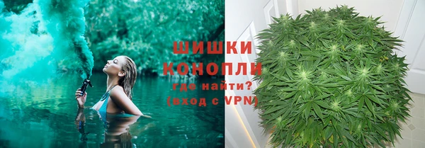 ПСИЛОЦИБИНОВЫЕ ГРИБЫ Абаза