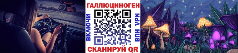 где можно купить   это Telegram  мега зеркало  Псилоцибиновые грибы мицелий  Тында 