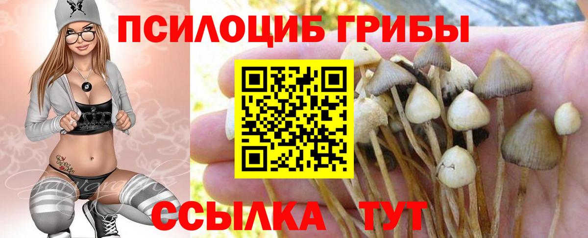 Псилоцибиновые грибы ЛСД  Галлюциногенные грибы Magic Shrooms  Тында  Вход с VPN 