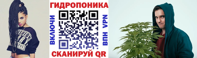 хочу наркоту  Тында  Бошки марихуана конопля 